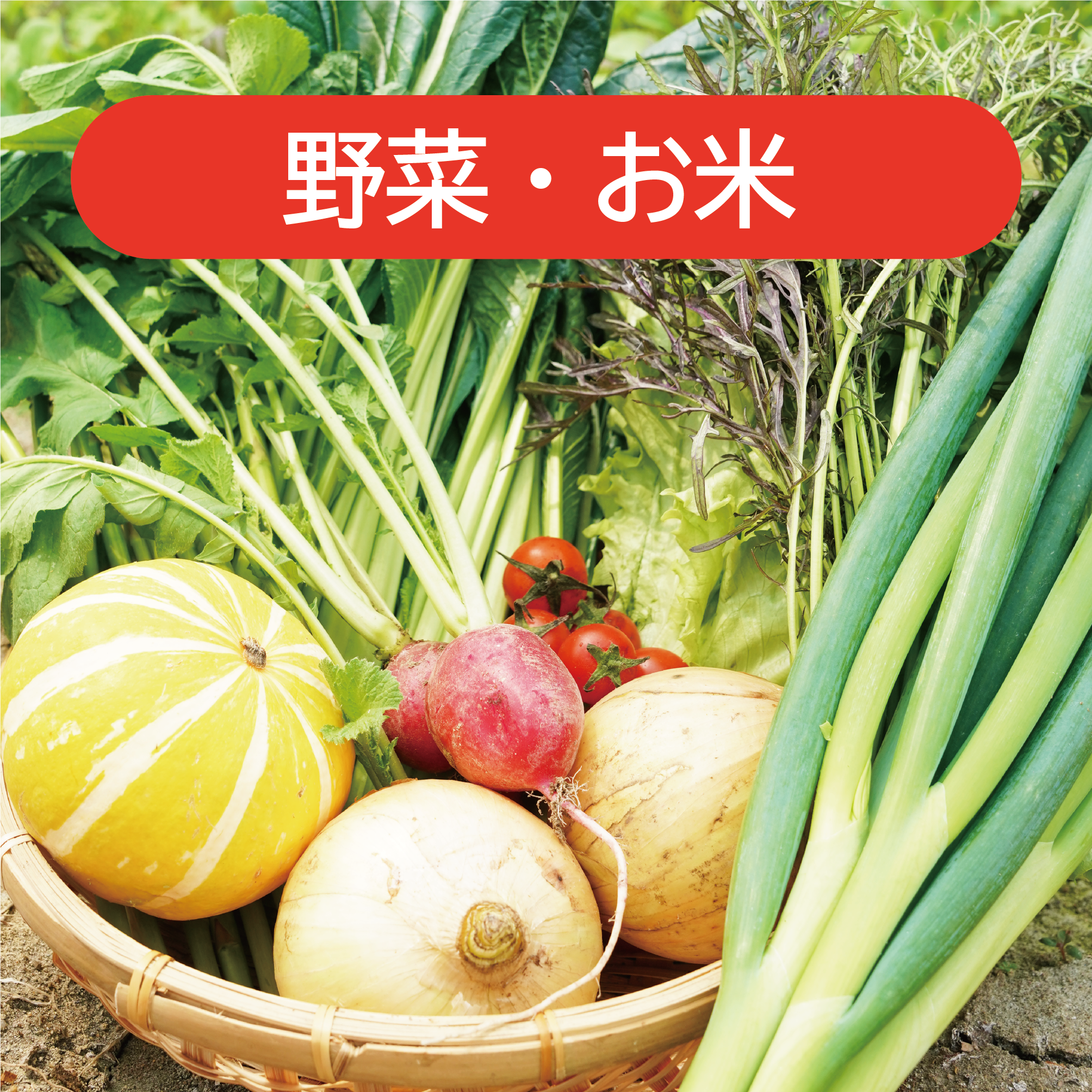 野菜・お米