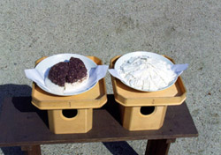 弓餅（左）と矢形餅（右）の写真