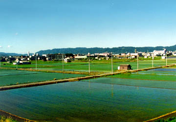 木津川堤防